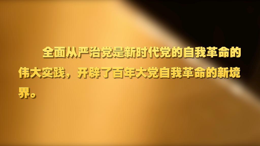劃重點(diǎn)！十九屆中央紀(jì)委六次全會 習(xí)近平提出這些要求