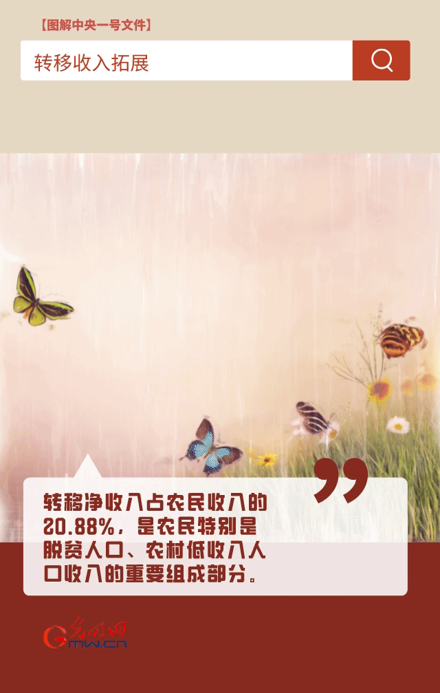 【圖解中央一號文件】“動”漫海報丨今年如何讓農(nóng)民的“錢袋子”鼓起來？