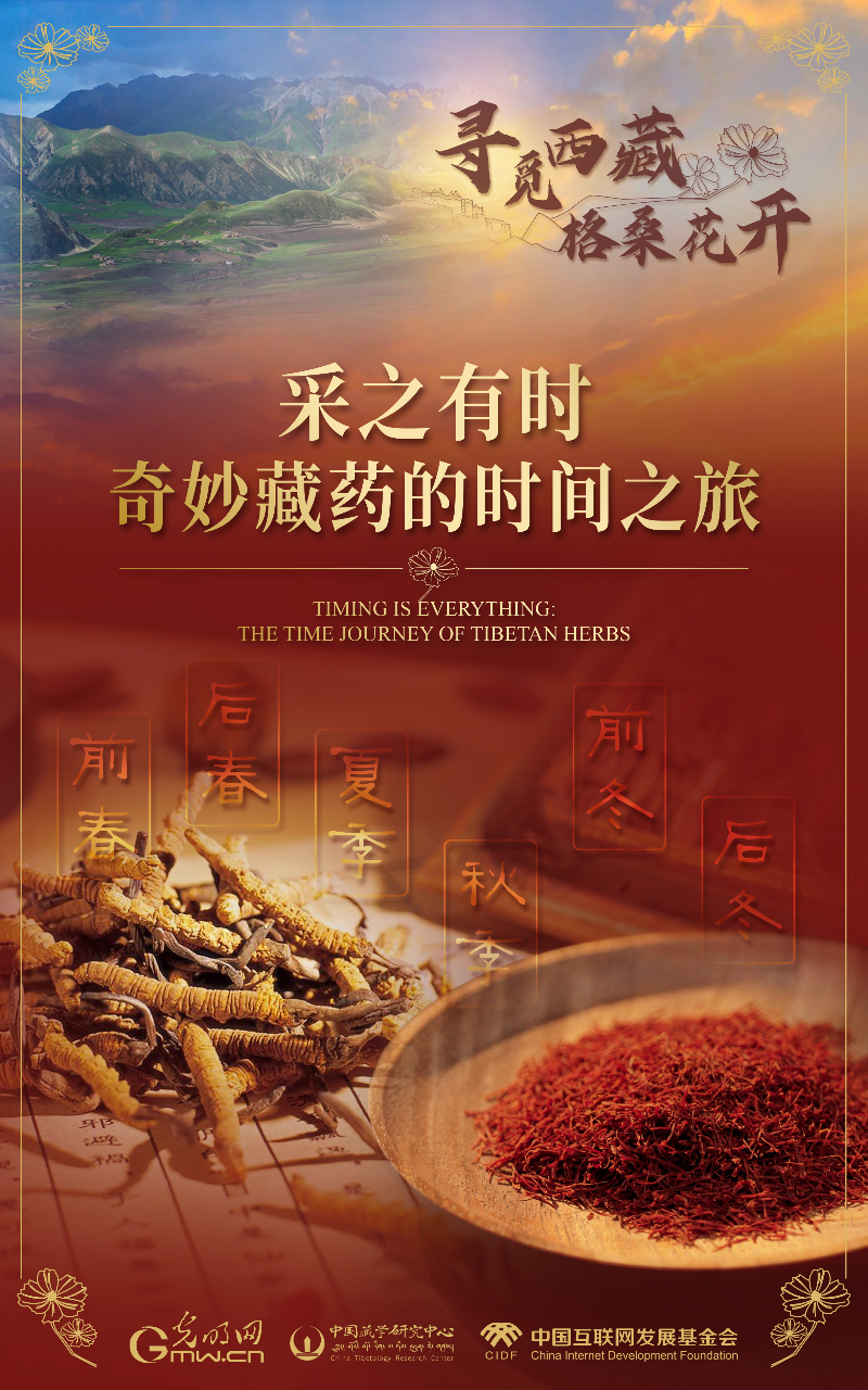 【尋覓西藏·格?；ㄩ_(kāi)】采之有時(shí)：奇妙藏藥的時(shí)間之旅