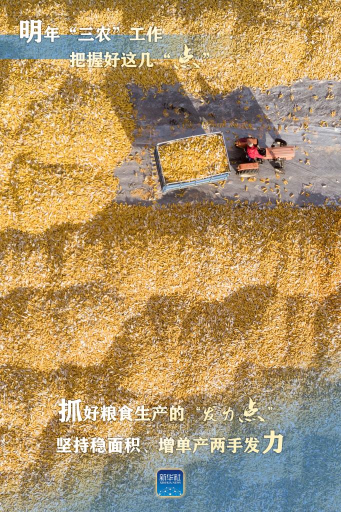 明年“三農(nóng)”工作，這幾個(gè)“點(diǎn)”要把握好