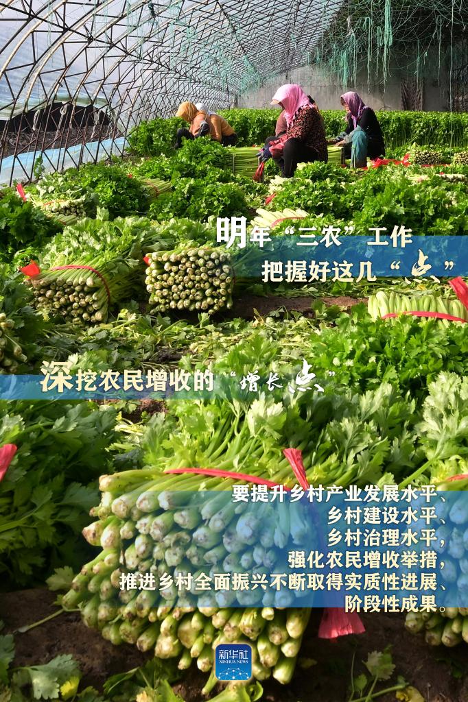 明年“三農(nóng)”工作，這幾個(gè)“點(diǎn)”要把握好