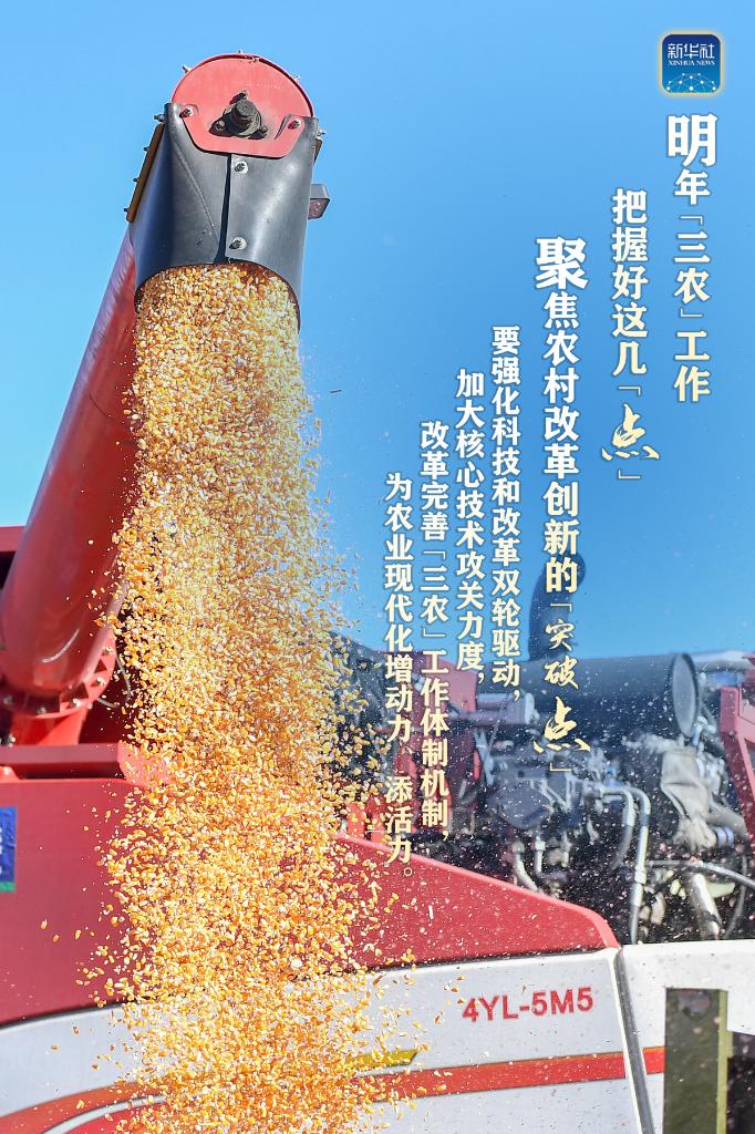 明年“三農(nóng)”工作，這幾個(gè)“點(diǎn)”要把握好