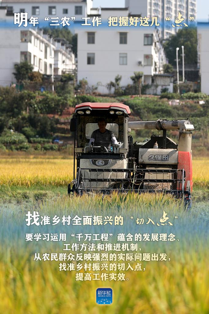 明年“三農(nóng)”工作，這幾個(gè)“點(diǎn)”要把握好