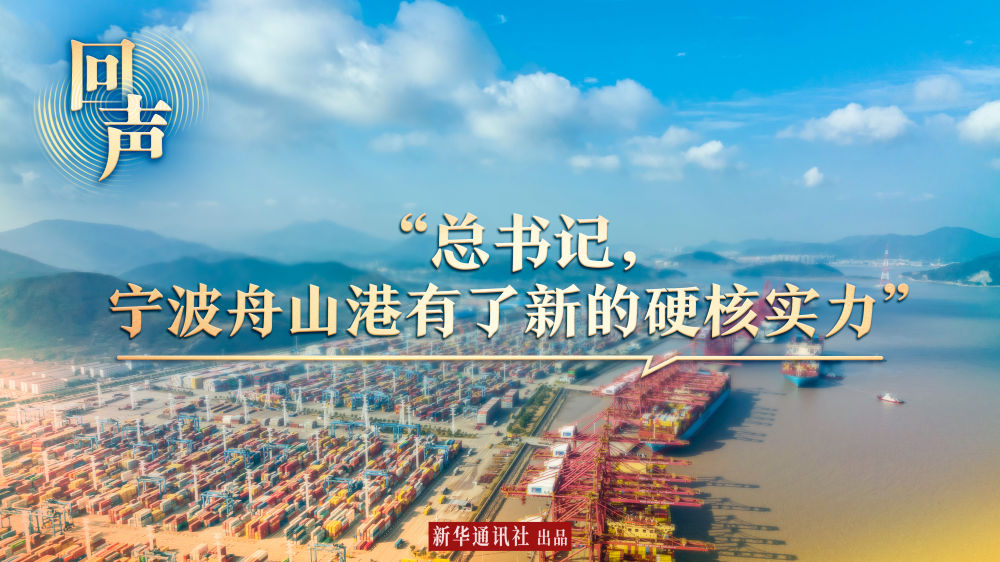 回聲｜“總書記，寧波舟山港有了新的硬核實(shí)力”