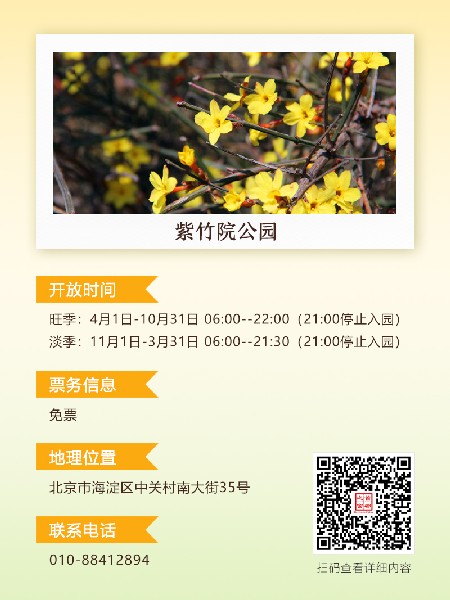 追花指南第二期！京城三月里最撩人的玉蘭觀賞地