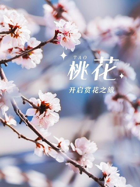追花指南第三期！別等了 今天就去和桃花撞個(gè)滿懷