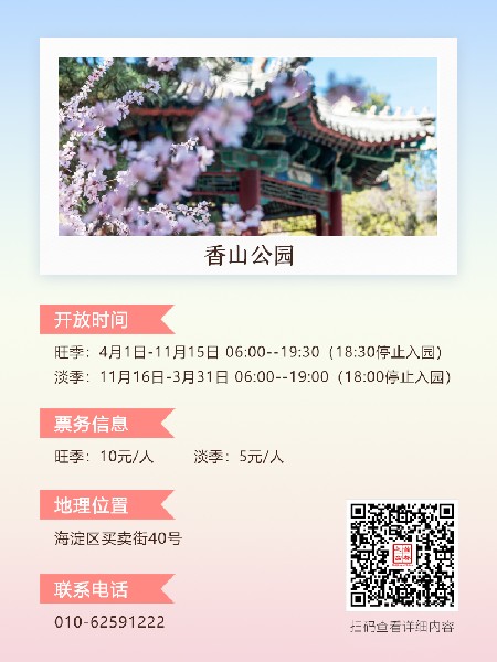 追花指南第三期！別等了 今天就去和桃花撞個(gè)滿懷