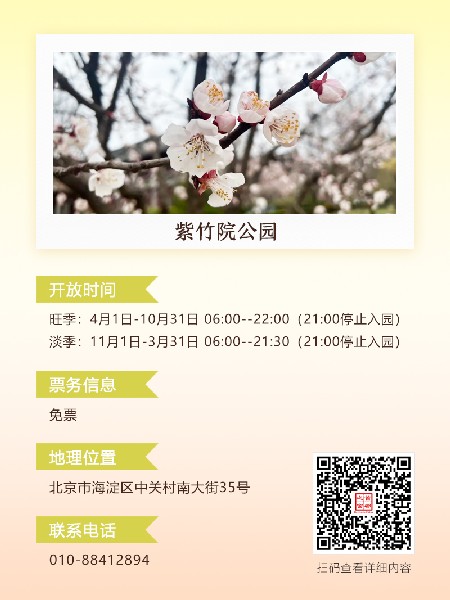 追花指南第六期！杏花雨 楊柳風(fēng) 北京最美的杏花在這里