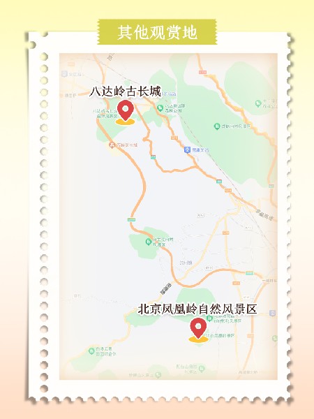 追花指南第六期！杏花雨 楊柳風(fēng) 北京最美的杏花在這里