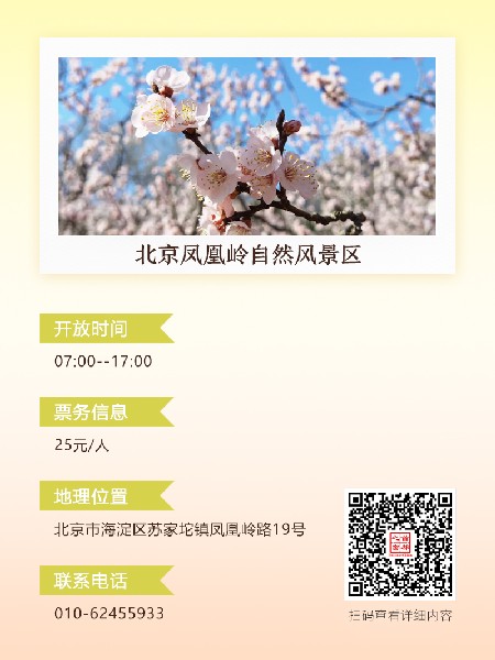 追花指南第六期！杏花雨 楊柳風(fēng) 北京最美的杏花在這里