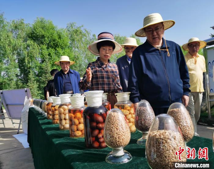 青海：利用冷涼氣候，打造高原綠色種業(yè)輸出地