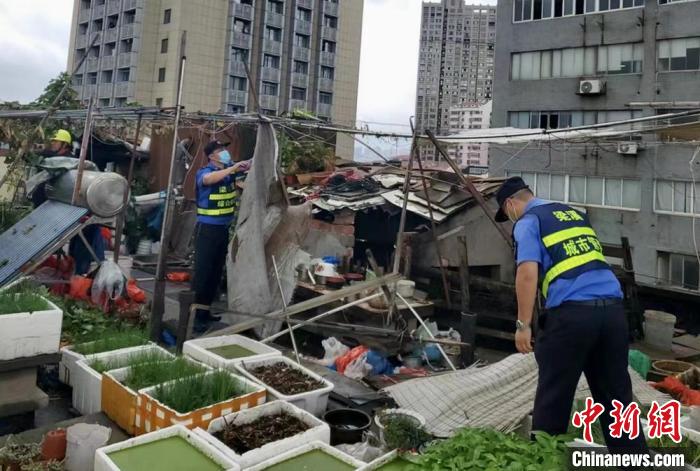 在一處居民樓屋頂，城管隊(duì)員拆除“空中菜園”。　金茜 攝