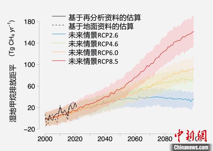 基于觀測(cè)的濕地甲烷排放變化與未來(lái)氣候變化情景下估算的對(duì)比?！≈锌圃呵嗖馗咴?供圖