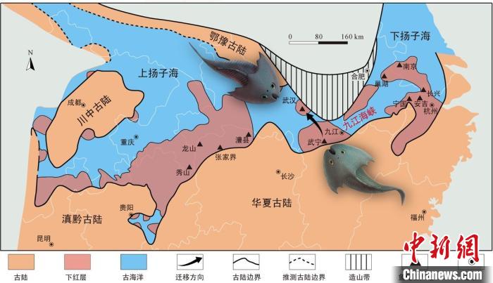 華南地區(qū)志留紀(jì)早期古地理圖和盔甲魚類化石產(chǎn)地(山顯任改自陳旭、戎嘉余，1996；戎嘉余等，2012) 中科院古脊椎所 供圖