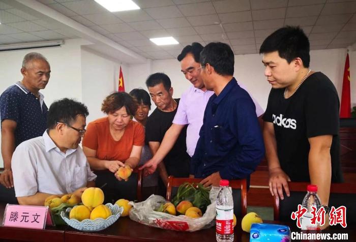 民進(jìn)浙江省委會(huì)為三里橋黃桃種植戶(hù)送技術(shù)、送指導(dǎo)?！〖紊平y(tǒng)戰(zhàn) 供圖