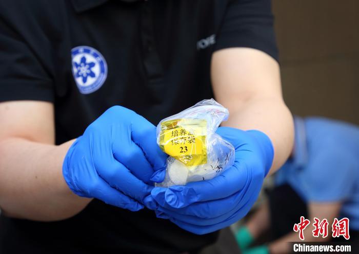 隨神舟十五號返回地面的空間科學(xué)實驗樣品?！≈锌圃嚎臻g應(yīng)用中心 供圖