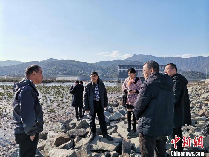 浙江海洋生態(tài)觀察：智慧大腦如何解鎖藍(lán)色發(fā)展密碼？