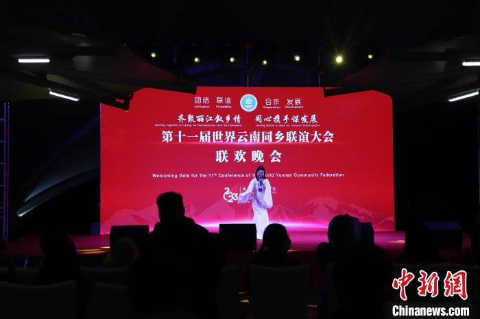 圖為第十一屆世界云南同鄉(xiāng)聯(lián)誼大會(huì)舉辦聯(lián)歡晚會(huì)?！〈抻澜?攝