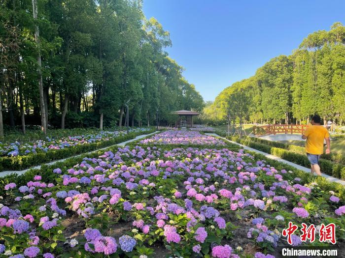 納民意、匯民智上海努力讓“公園城市”建設(shè)真正“合民心”