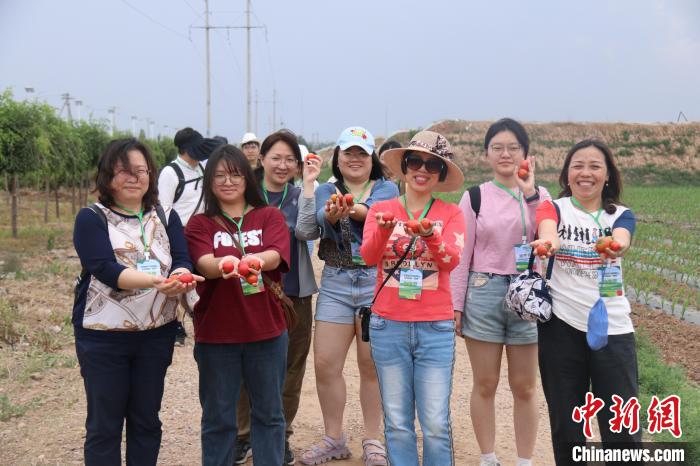 圖為臺胞體驗大美內(nèi)蒙古?！⊥袐I供圖