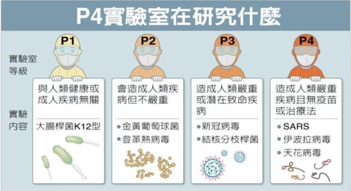P4實(shí)驗(yàn)室在研究什么。臺(tái)灣聯(lián)合新聞網(wǎng)資料圖