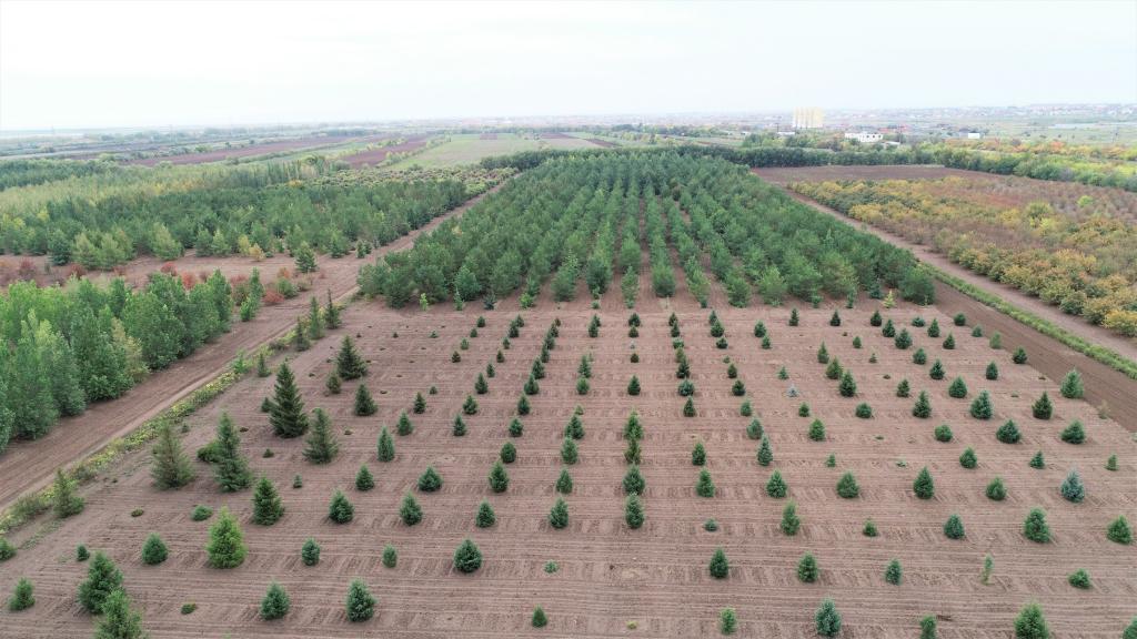 這是2023年9月11日在哈薩克斯坦首都阿斯塔納拍攝的一處植物種質(zhì)資源苗圃（無人機(jī)照片）。新華社發(fā)（法爾哈特·圖克諾夫 攝）