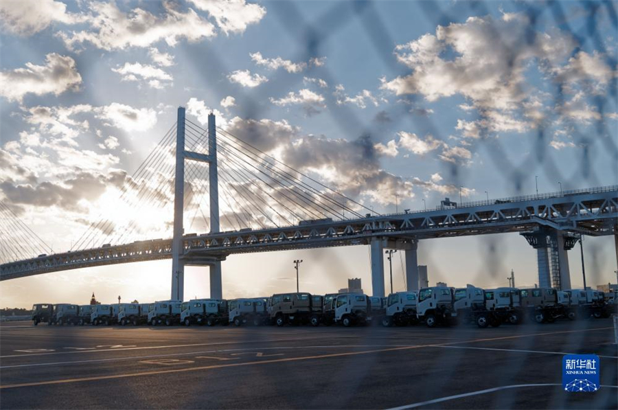 這是11月14日在日本橫濱拍攝的進出口汽車集散場地。新華社記者 張笑宇 攝