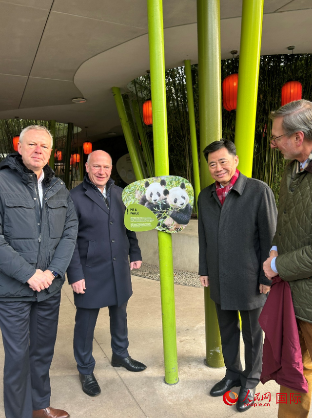 中國(guó)駐德國(guó)大使吳懇（右二）、柏林市長(zhǎng)韋格納（左二）、動(dòng)物園園長(zhǎng)克尼里姆（右一）和監(jiān)事會(huì)主席布魯克曼（左一）共同為“夢(mèng)想”“夢(mèng)圓”大熊貓紀(jì)念牌揭幕。人民網(wǎng)記者 徐馨攝
