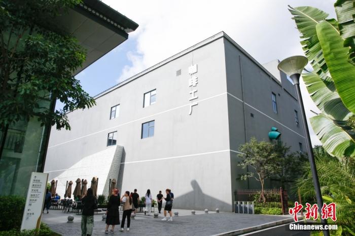 圖為采訪團(tuán)一行參觀咖啡工廠。 曹淼欣 攝