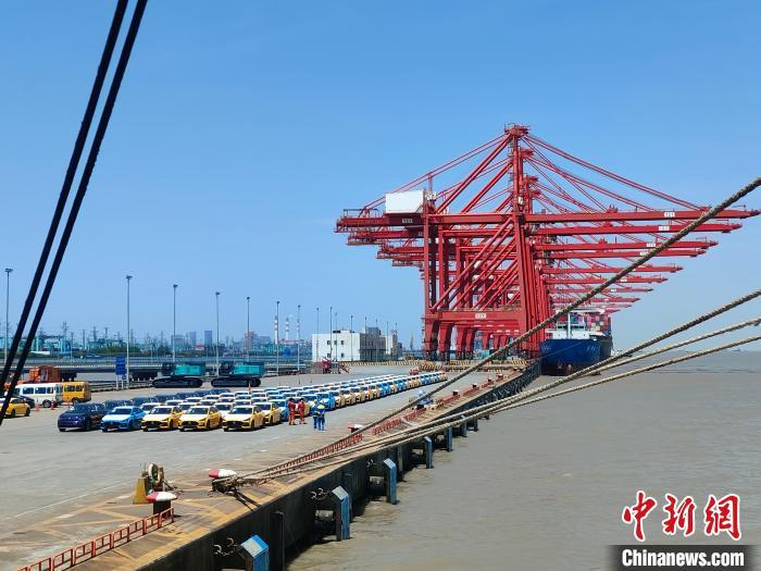 資料圖：國產(chǎn)新能源車在上海外高橋港區(qū)海通碼頭“整裝待發(fā)”?！∑址?攝