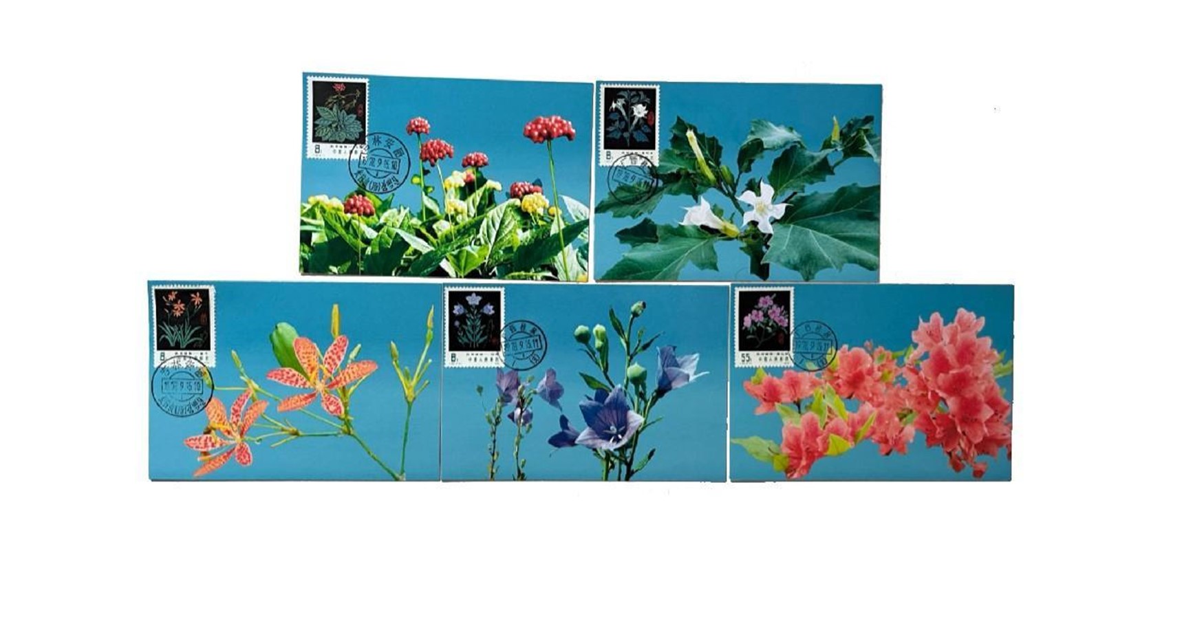 首套藥用植物極限片。第七屆阿聯(lián)酋集郵展主辦方供圖