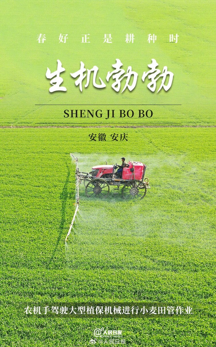 生機(jī)盎然！用課本封面打開(kāi)春耕畫(huà)卷