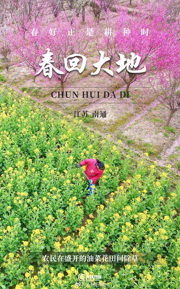 生機(jī)盎然！用課本封面打開(kāi)春耕畫(huà)卷