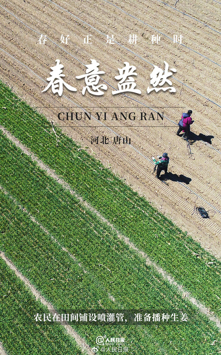 生機(jī)盎然！用課本封面打開(kāi)春耕畫(huà)卷