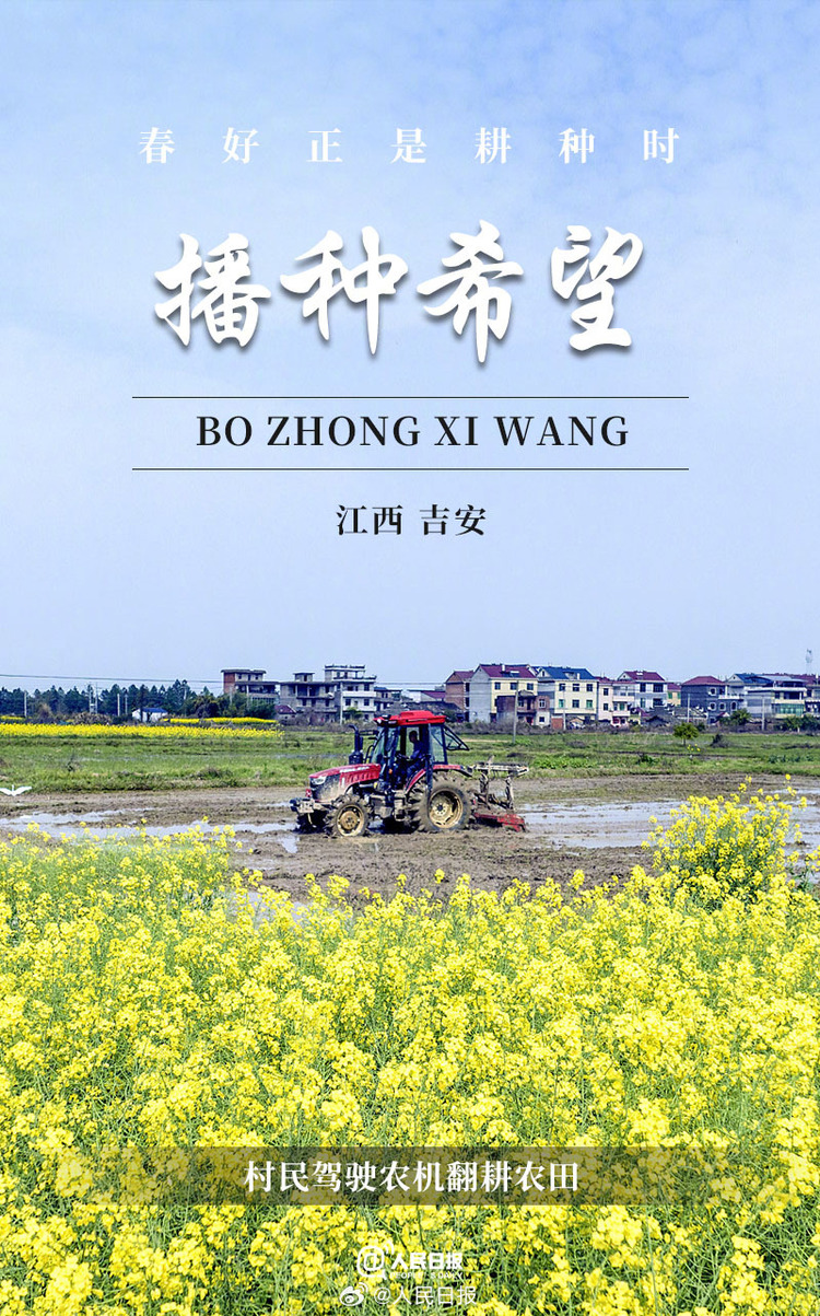 生機(jī)盎然！用課本封面打開(kāi)春耕畫(huà)卷