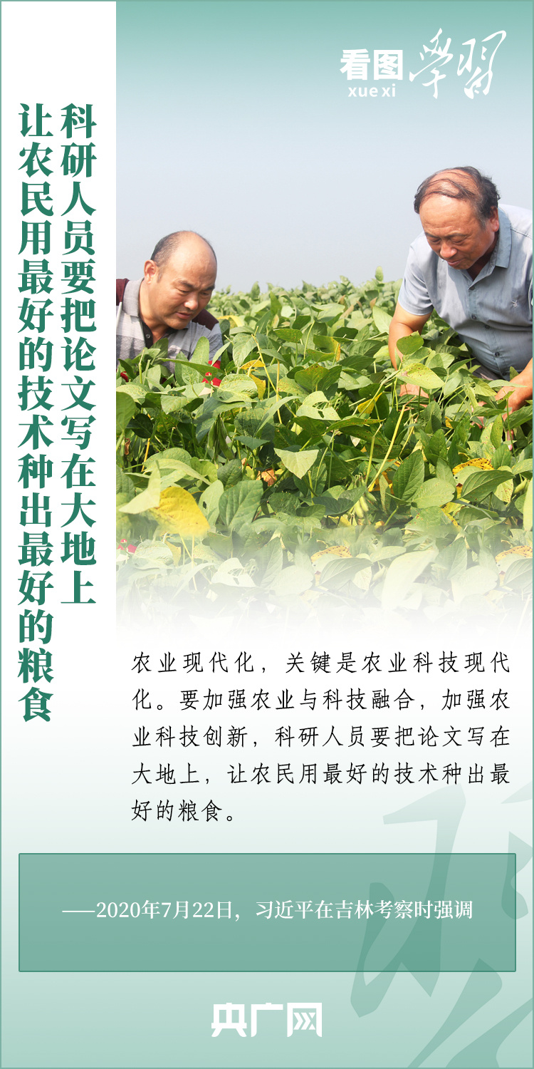 看圖學(xué)習(xí)丨推廣良田、良種、良法、良機 給農(nóng)業(yè)現(xiàn)代化插上科技的翅膀