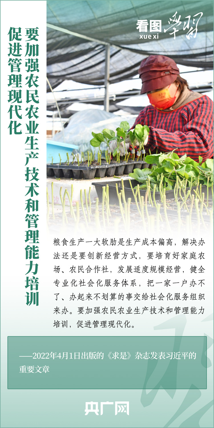 看圖學(xué)習(xí)丨推廣良田、良種、良法、良機 給農(nóng)業(yè)現(xiàn)代化插上科技的翅膀