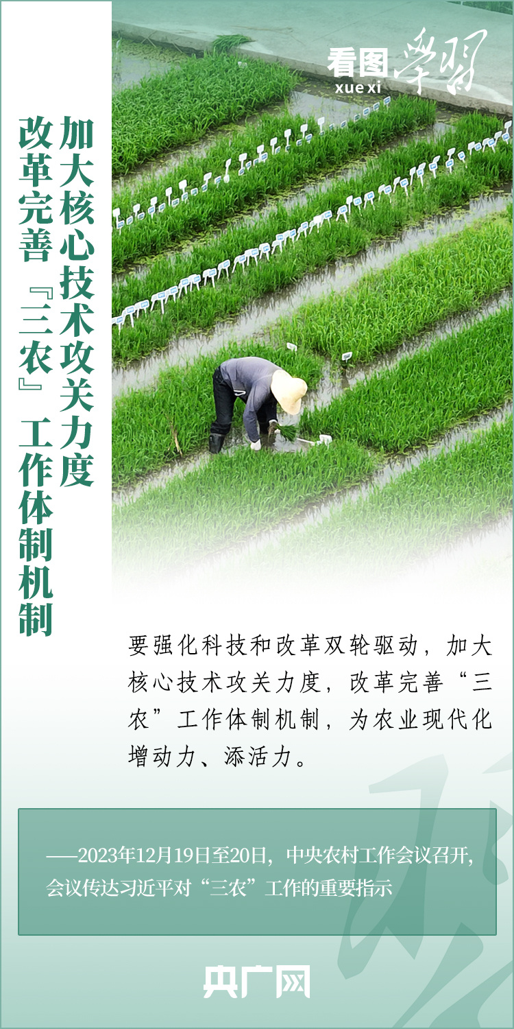 看圖學(xué)習(xí)丨推廣良田、良種、良法、良機 給農(nóng)業(yè)現(xiàn)代化插上科技的翅膀