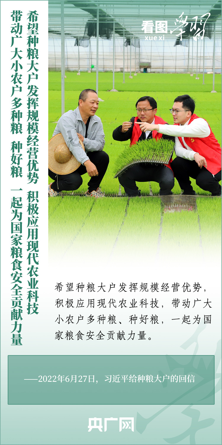 看圖學(xué)習(xí)丨推廣良田、良種、良法、良機 給農(nóng)業(yè)現(xiàn)代化插上科技的翅膀