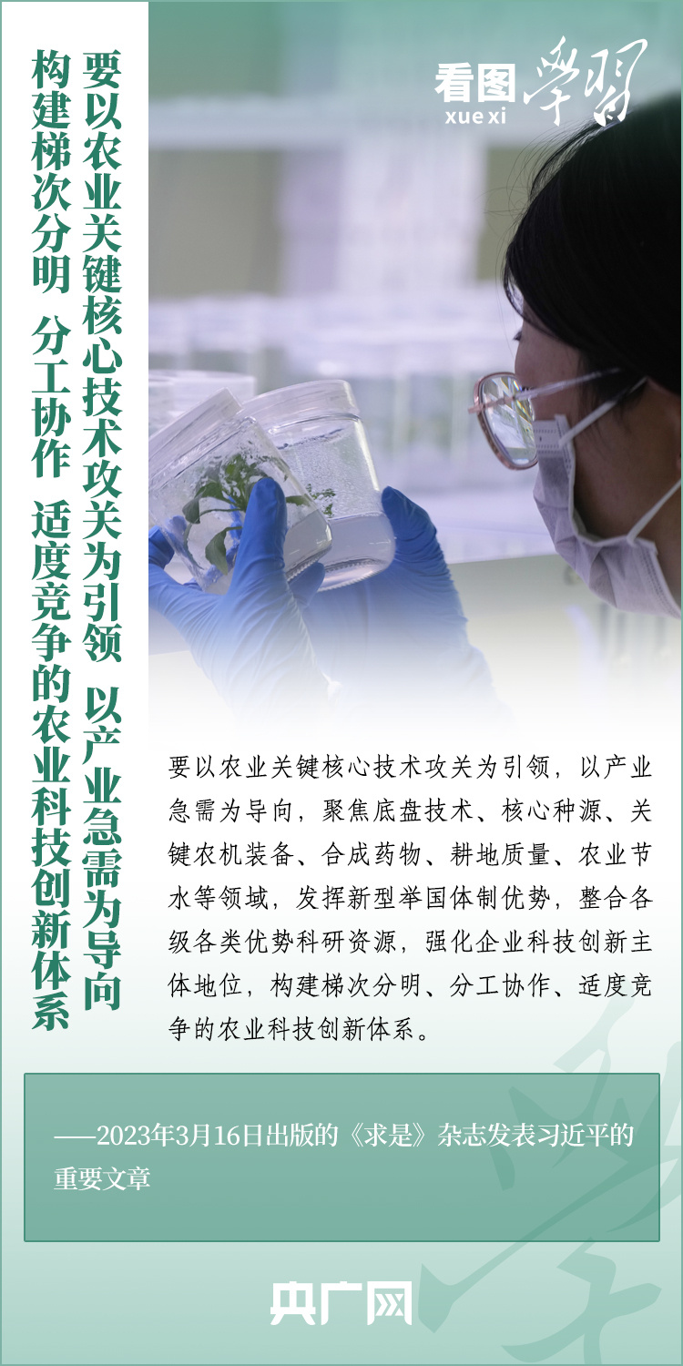 看圖學(xué)習(xí)丨推廣良田、良種、良法、良機 給農(nóng)業(yè)現(xiàn)代化插上科技的翅膀