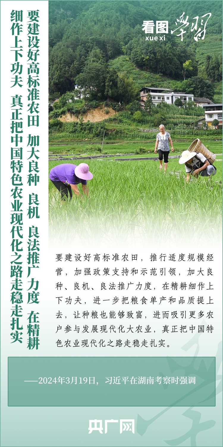 看圖學(xué)習(xí)丨推廣良田、良種、良法、良機 給農(nóng)業(yè)現(xiàn)代化插上科技的翅膀