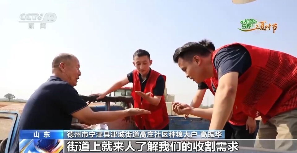 “三夏”生產(chǎn)思維導(dǎo)圖安排上了！還有政府大院等你來“曬”
