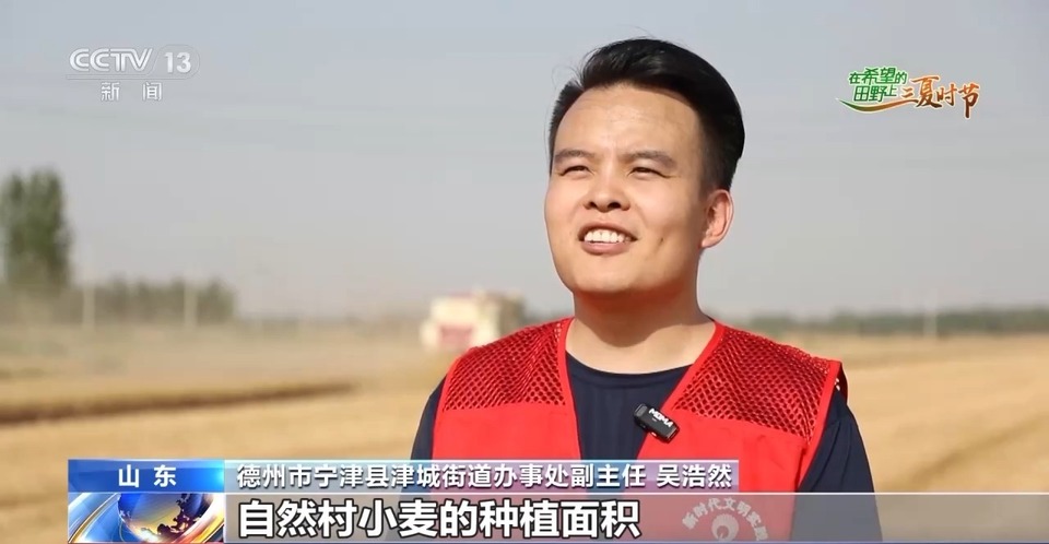 “三夏”生產(chǎn)思維導(dǎo)圖安排上了！還有政府大院等你來“曬”