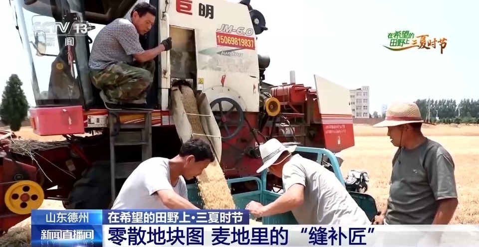 “三夏”生產(chǎn)思維導(dǎo)圖安排上了！還有政府大院等你來“曬”