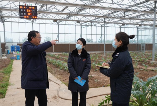 稅務(wù)干部走進常德市西洞庭管理區(qū)的朝鮮薊種植基地，宣傳稅費優(yōu)惠政策，助力農(nóng)企搶農(nóng)時、抓春耕、穩(wěn)增長。吳家豪攝