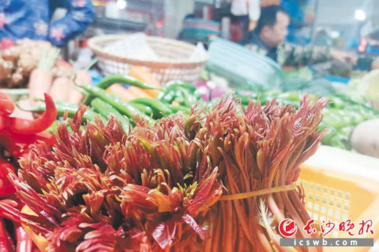 　　農(nóng)貿(mào)市場里鮮嫩的香椿?！　【鶠殚L沙晚報全媒體記者 劉捷萍 攝