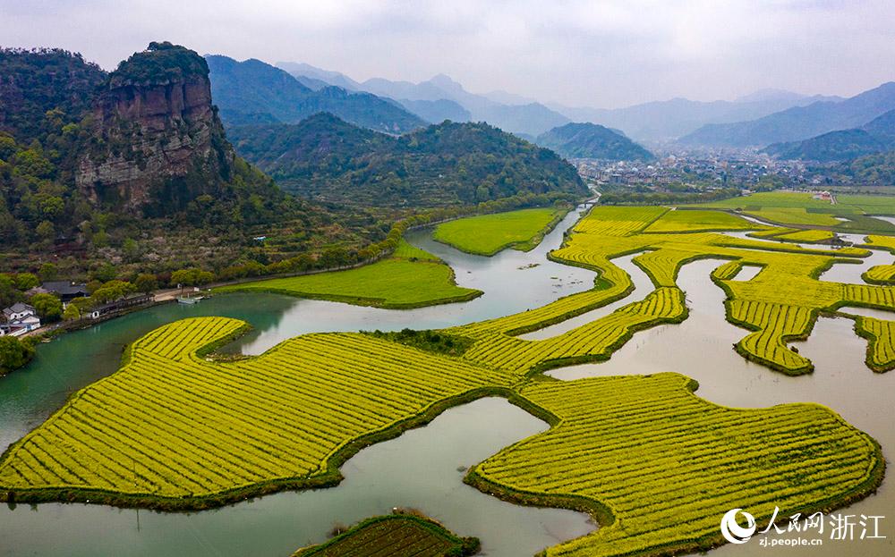 3月28日，航拍浙江省臨海市桃渚鎮(zhèn)桃江十三渚盛開的油菜花景色。人民網(wǎng) 章勇濤攝