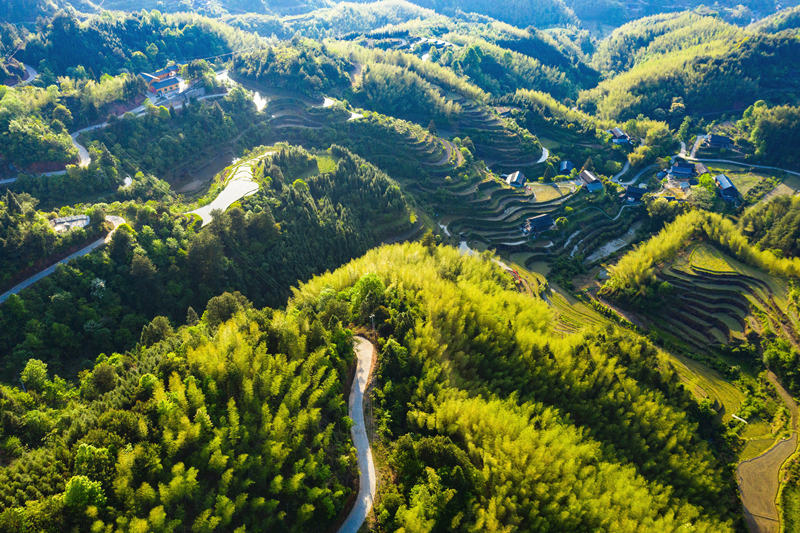 會(huì)同縣高椅鄉(xiāng)雪峰村的產(chǎn)業(yè)路盤旋在綠色的大山之間。田文國(guó)攝