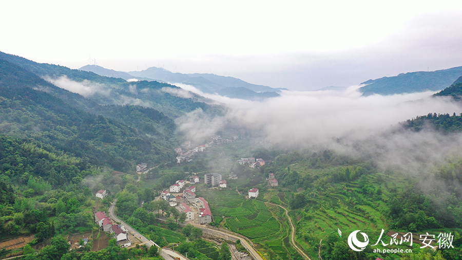 雨后的金寨大灣村，云霧環(huán)繞，宛如一幅田園山水畫卷。人民網(wǎng) 張俊攝