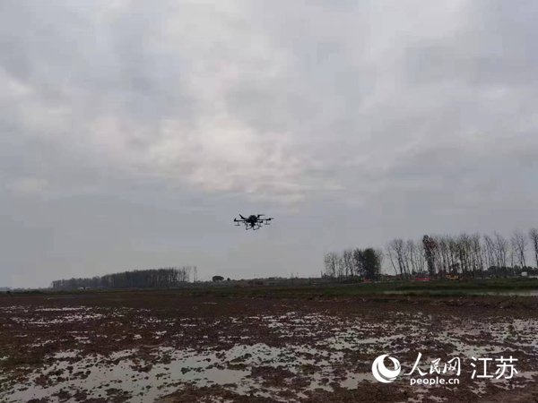 勝利圩高標(biāo)準(zhǔn)農(nóng)田進(jìn)行無(wú)人機(jī)水稻播種。陽(yáng)江鎮(zhèn)供圖